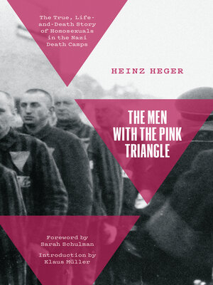 cover image of The Men With the Pink Triangle